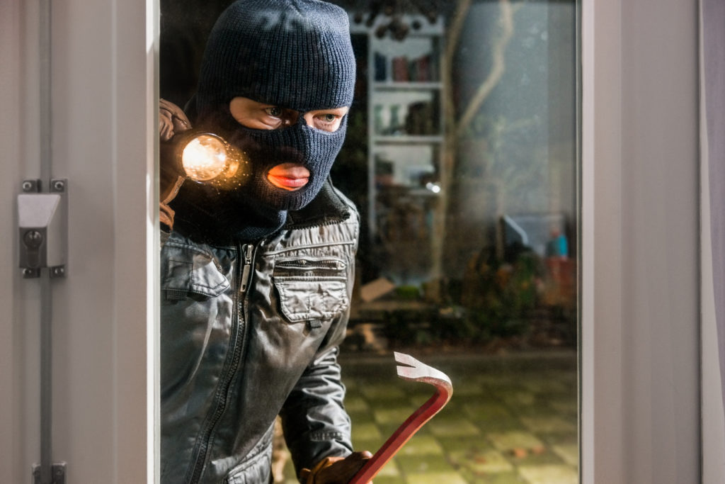 burglar deterrent