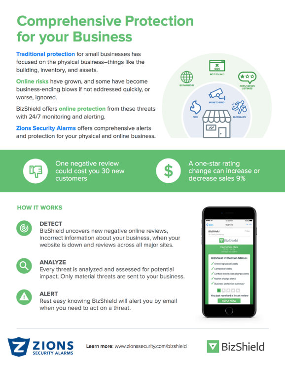 Bizshield
