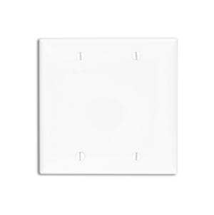 Double Gang Blank Wallplate