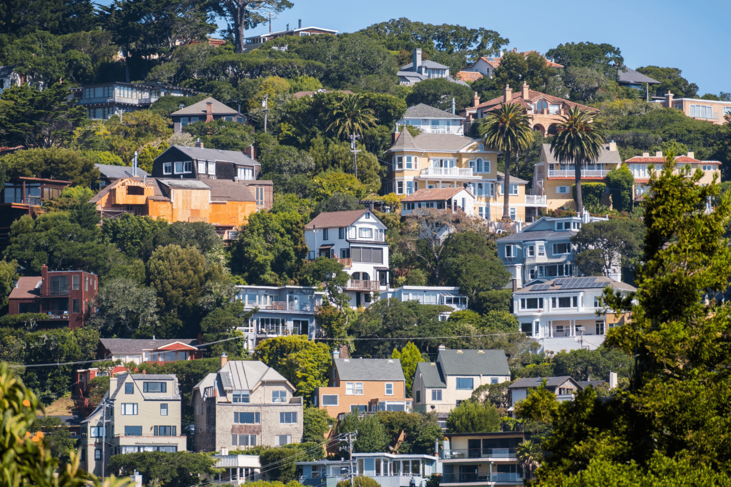  Marin County Area image