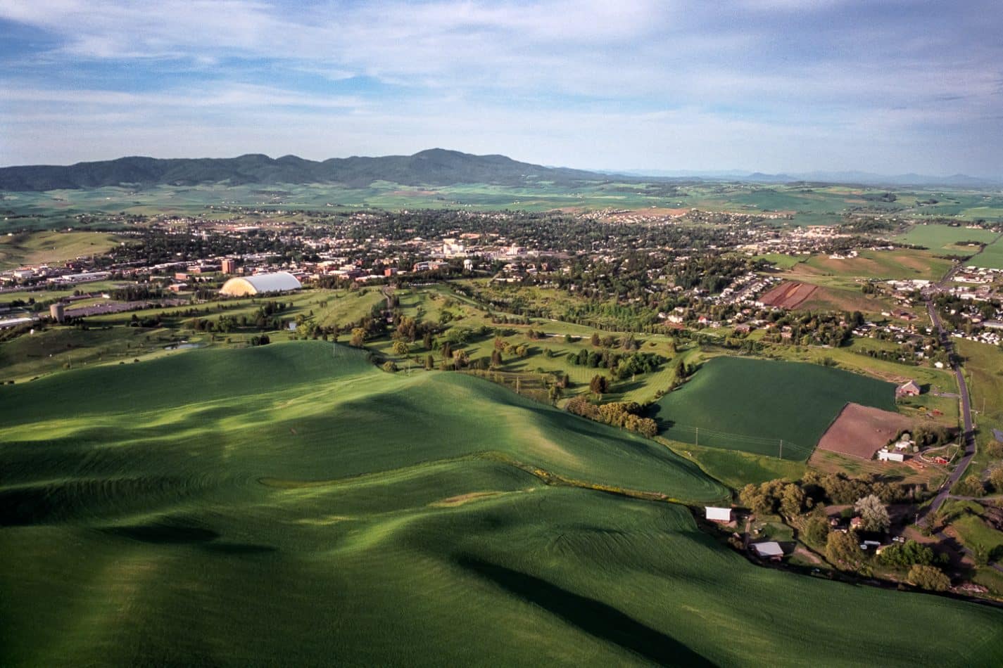 Latah & Nez Perce County image