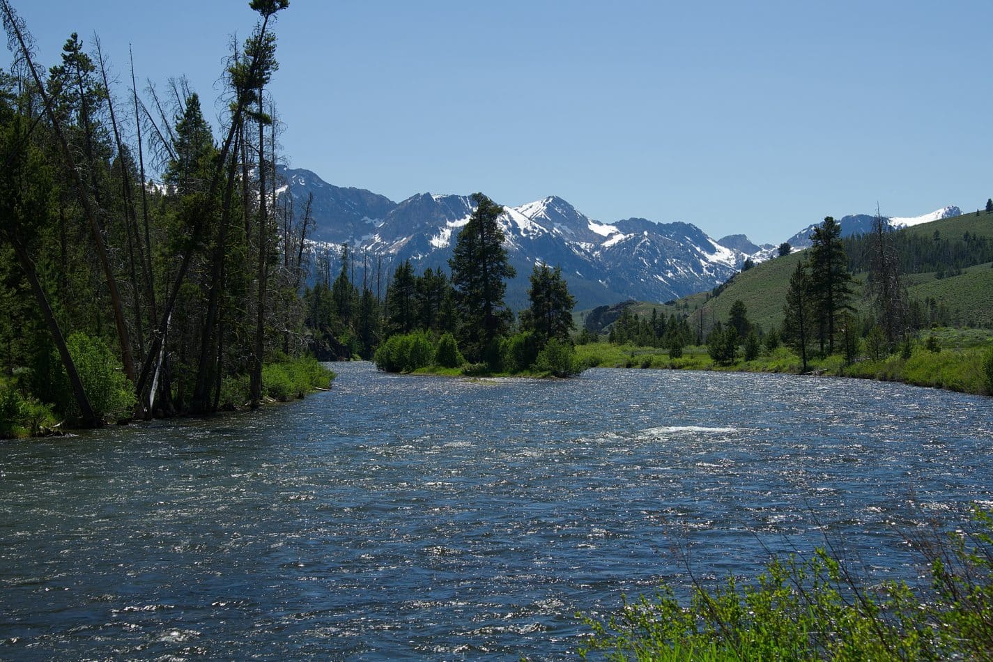 Lemhi & Shoshone County