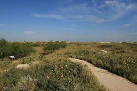 Winkler-cnty County image