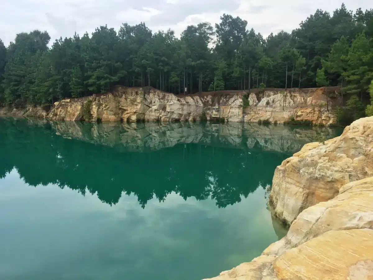 Zavala-cnty County image