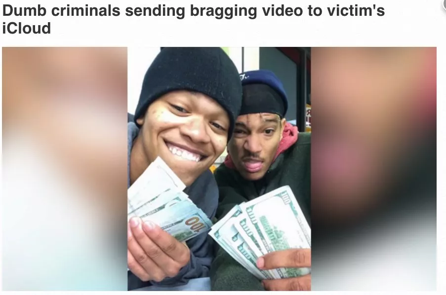 dumb criminals