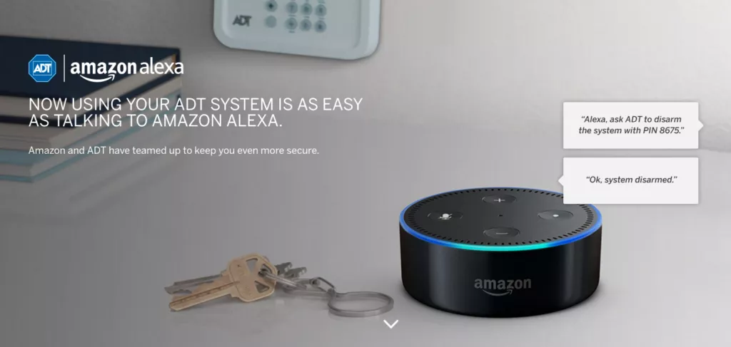 Root, On An  Echo Dot