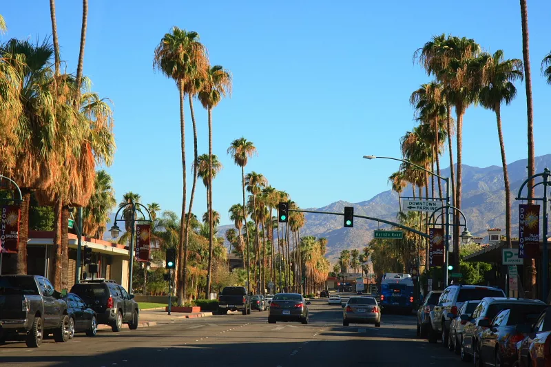 palm springs security