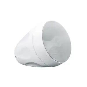 Indoor Outdoor On-Wall Pendant Speaker - White