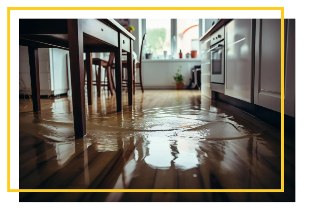 A Close-Up of Waterlogged Flooring