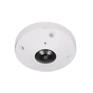 Luma X20 12MP IP Fisheye Camera